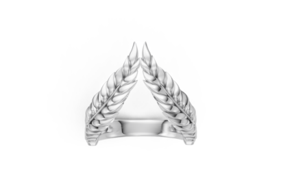 Ring-001